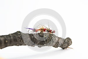 Fly fishing lures on brown branch on a white background close-up front view. The essential elements of fishing equipment or tackle