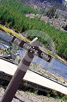 Fly Fishing Only Sign