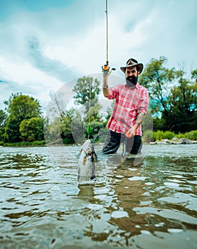 Fly fishing for trout. Fishing in river. Catches a fish. Catching a big fish with a fishing pole. Fly fishing - method