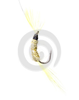 Fly for fishing on a white background