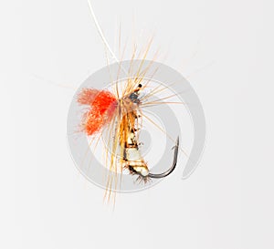 Fly for fishing on a white background
