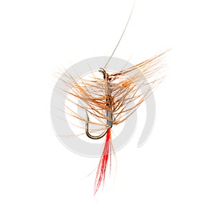 Fly for fishing on a white background