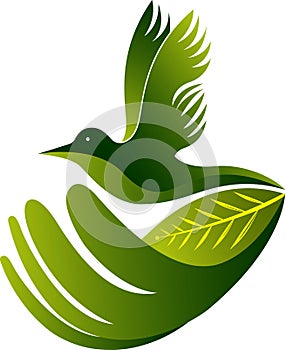 Fly freedom logo
