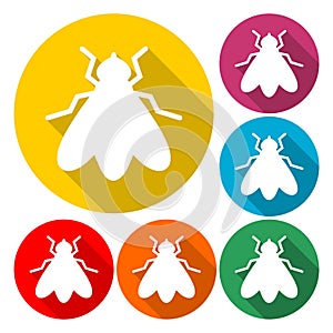 Fly icon - vector Illustration