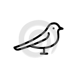 Fly vector thin line icon