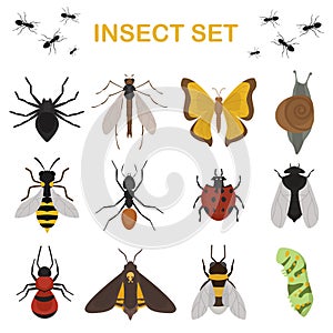 Fly insects wildlife entomology bug animal nature beetle biology buzz icon vector illustration