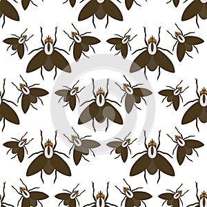 Fly insects wildlife entomology bug animal nature beetle biology buzz icon vector illustration pattern seamless