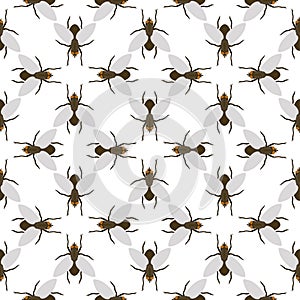 Fly insects wildlife entomology bug animal nature beetle biology buzz icon vector illustration pattern seamless