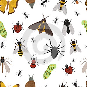 Fly insects wildlife entomology bug animal nature beetle biology buzz icon vector illustration pattern seamless