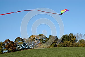 Fly a kite