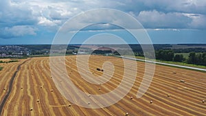 Fly over a golden wheat field.