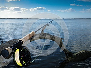 Fly Rod and Reel on Old Mangrove photo