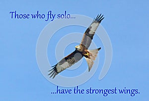 Fly solo strong wings - Inspirational Quote