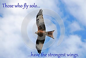 Fly solo strong wings - Inspirational Quote