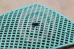 Fly swatter with a fly.