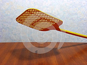 Fly Swatting photo