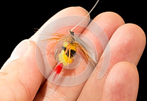 Fly to catch fish in a hand on a black background