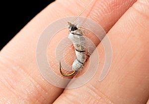 Fly to catch fish in a hand on a black background