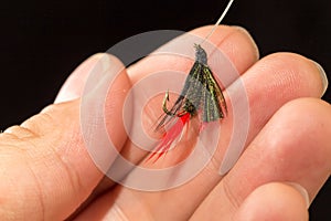 Fly to catch fish in a hand on a black background