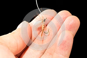 Fly to catch fish in a hand on a black background