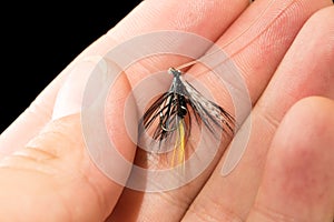 Fly to catch fish in a hand on a black background