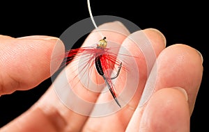 Fly to catch fish in a hand on a black background