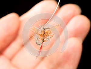 Fly to catch fish in a hand on a black background