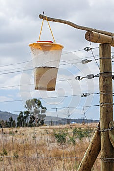 Fly Trap hanging on a fence