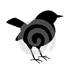 Flycatcher  bird, black silhouette, vector illustration, side