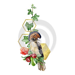 Flycatcher bird with pomegranate flower and fruit hand drawn watercolor arrangement. Close up illustration of exotic tropical bird