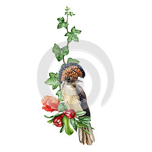 Flycatcher bird with pomegranate flower and fruit hand drawn watercolor arrangement. Illustration of tropical bird and ivy leaves.