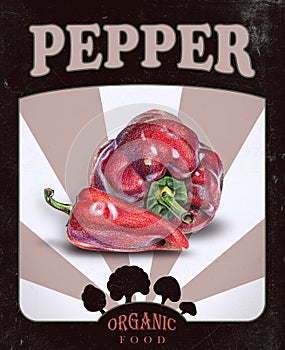 Flyer with red peppers drawn by hand with colored pencil
