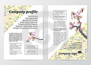 Flyer template sakura tree (cherry blossom) illustration on colorful low polygon background.