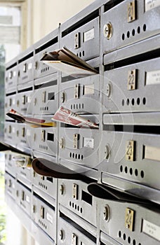 Flyers and brochures