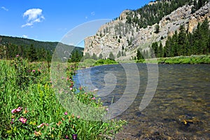 Flyfishing Gallatin River photo