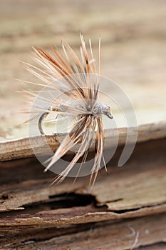 Flyfishing photo