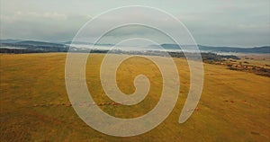 Flying above and aerial view of green field with hay stacks. Rural scene. Russia