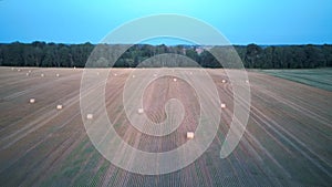Flying above the field with hay rolls sunrise. Hay bale rolls in the field 4k aerial dron shot.