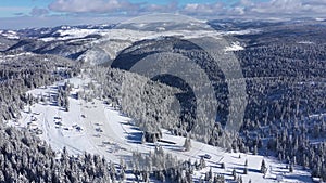 Flying above snow covered evergreen forest in the mountains. Aerial drone view of fir trees in winter