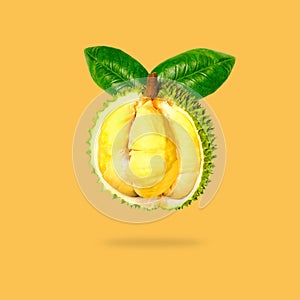 Flying in air fresh green durian isolated on pastel yellow background