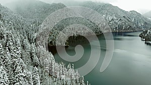 Flying along the coast of lake in winter, snowy forest around, trees under snow.