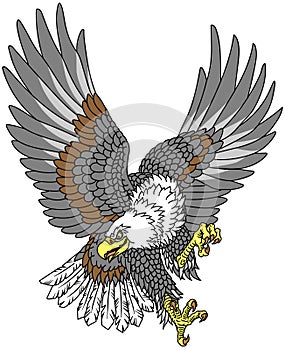 Flying American bald eagle. Tattoo