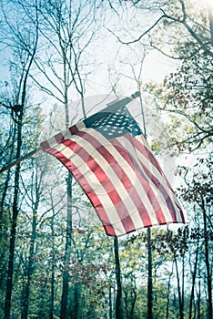 Flying American flag in forest background at nature park near of Houston, Texas, USA