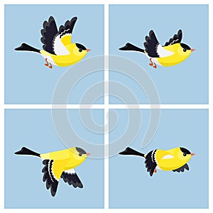 Flying American Goldfinch male animation sprite sheet