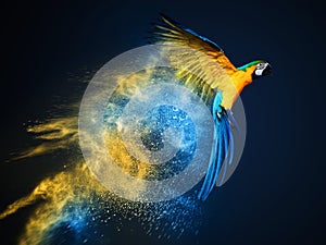 Flying Ara parrot photo
