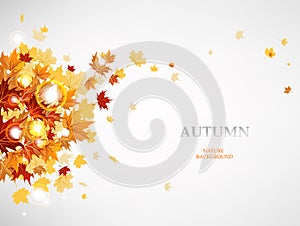 Flying autumn leaves