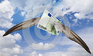 Flying away euro