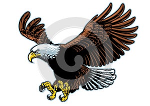 Flying bald eagle in detailed style photo