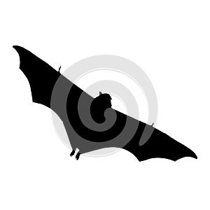 Flying Bat Silhouette In The Sky Isolated On White Background