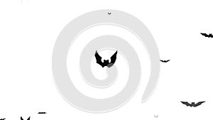 Flying bats isolated on white background